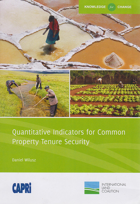 Quantitative indicators for common property tenure security /Daniel Wilusz